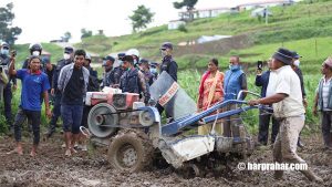 असार १५ : खोकनाका किसानको खेतमा प्रहरीसँग धरपकड मै बित्यो