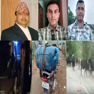 सिमा सिल – गाई , भैसी ,पेट्रोल र डिजलको तस्करी सुचारु