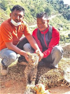 गर्धन समातेर चितुवा नियन्त्रण