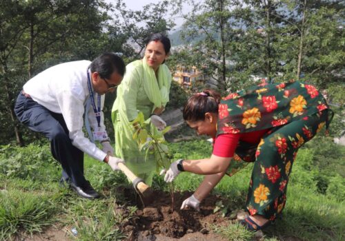 हरित वातावरण संरक्षण गर्न तारकेश्वर नगरपालिकाले गर्यो वृक्षारोपण